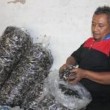 Tukang Tambal Ban Raup Pundi-pundi Rupiah dari Budidaya Jamur Kuping