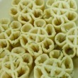 Resep Membuat Kue Kembang Goyang Gurih Enak