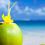 air kelapa muda