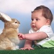 10 Alasan Sebaiknya Anak Memiliki Hewan Peliharaan