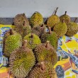 Durian Khas Ngebel Ponorogo